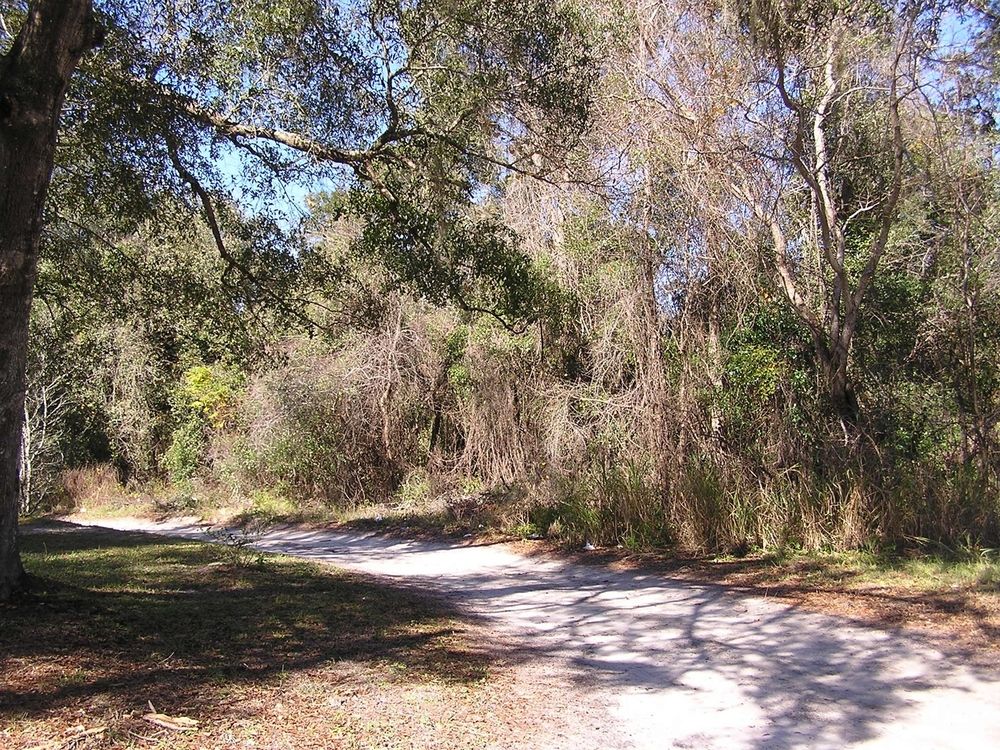 Ideal Multi-family Land Waiting For Development: S Elsasser St, DeLand, FL 32720